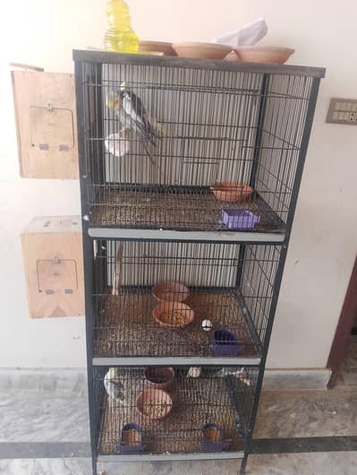 coptel all setup for sale