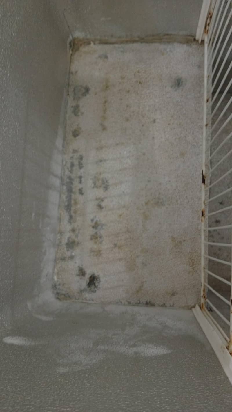 Used Waves Deep Freezer - Excellent Cooling + Free Mobile Stand 14