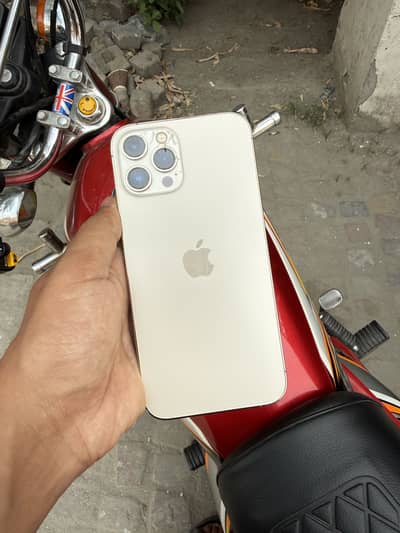 iPhone 12 Pro Max PTA Approved
