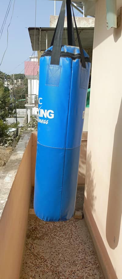 Boxing bag