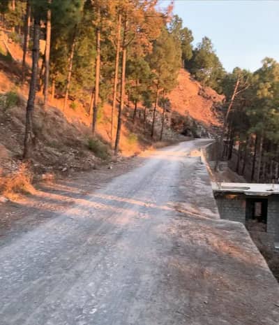 1 Kanal Plot for Sale in Ali town Abbottabad