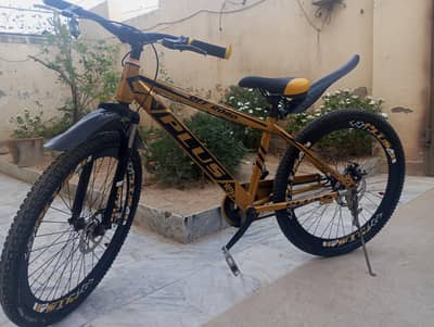 Chinese plus company bicycle 24 inches size