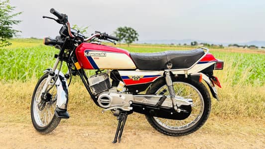 Kawasaki GTO 125 Bike