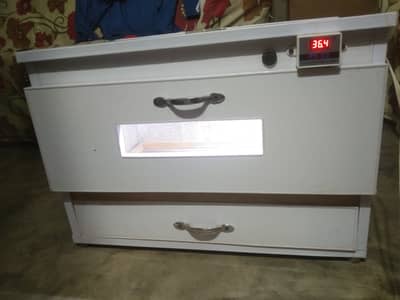 Incubator for sale eggs capisty 100 eggs one season used all ok ha