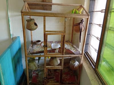 Cage Large size and Parrots