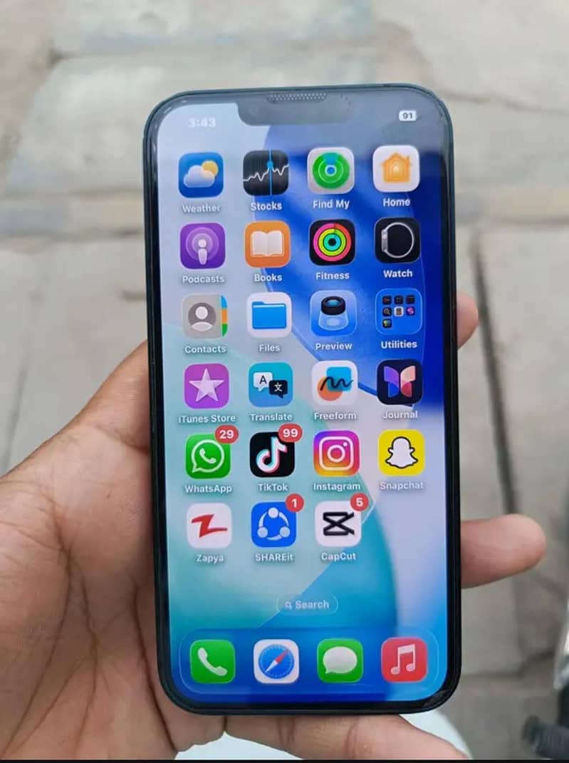 Apple iPhone 13 0