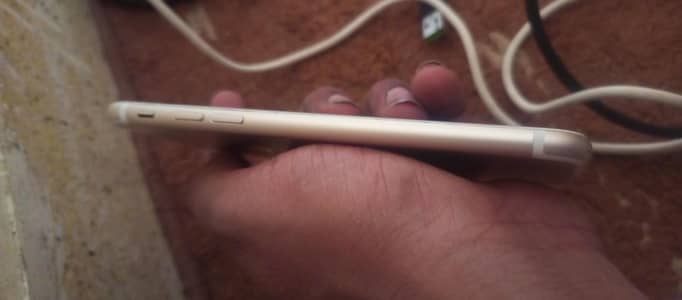 Apple iPhone 7      32GB