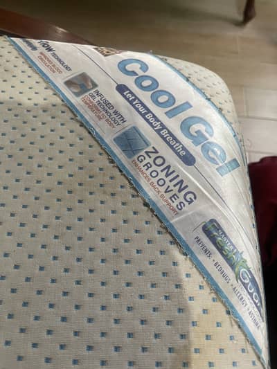 Molty Foam Coolgel