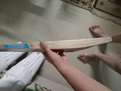cricket kit
