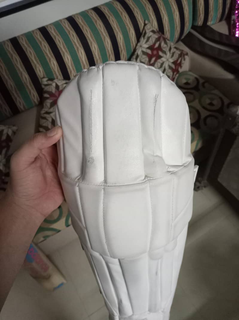 cricket kit 12