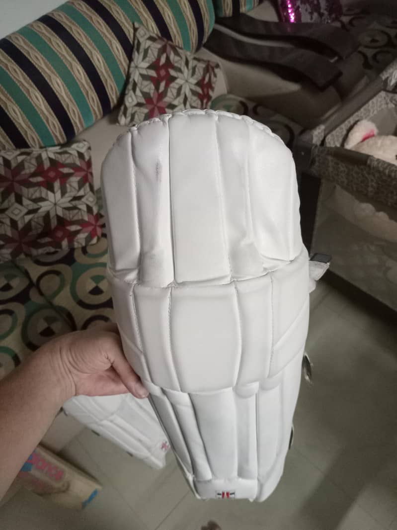 cricket kit 13