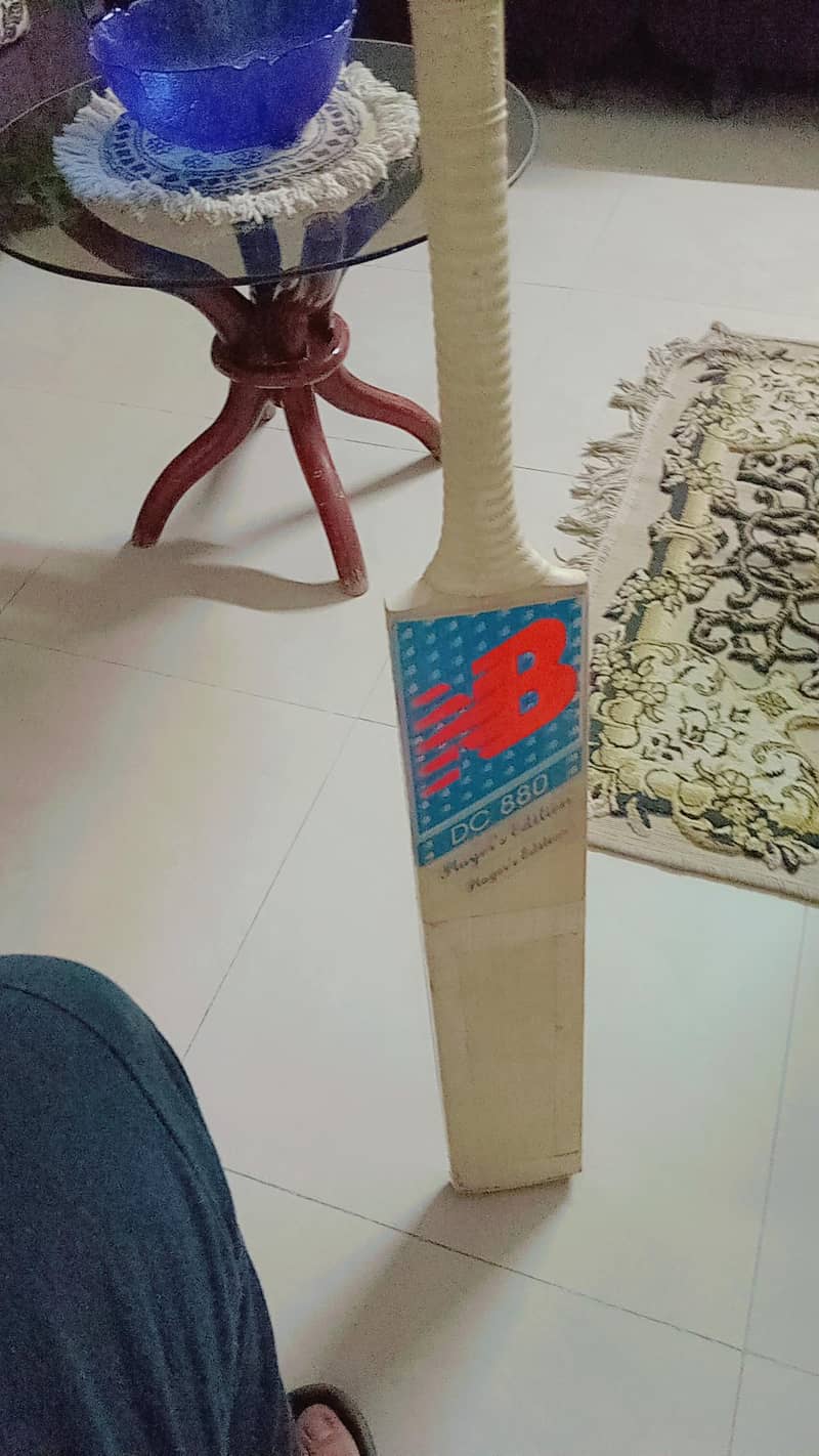 cricket kit 19