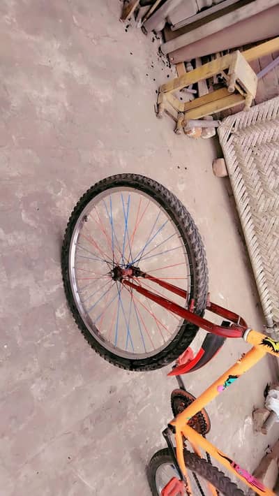 custom cycle