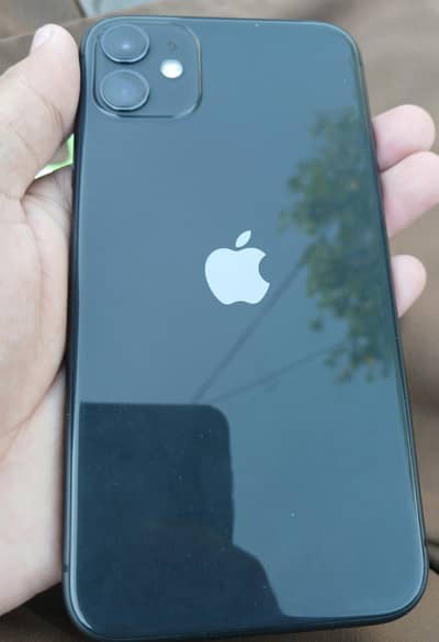 Apple iPhone 11 Factory Unlock