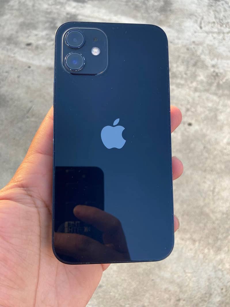 Apple iPhone 12 1