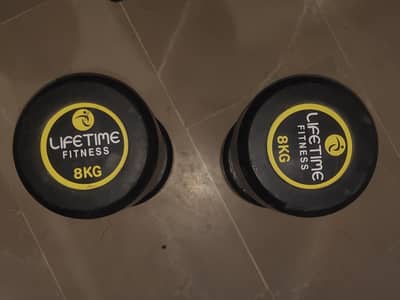 8kg pair dumbbells
