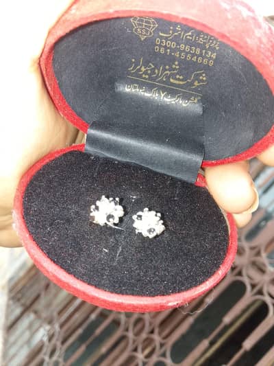 silver earrings