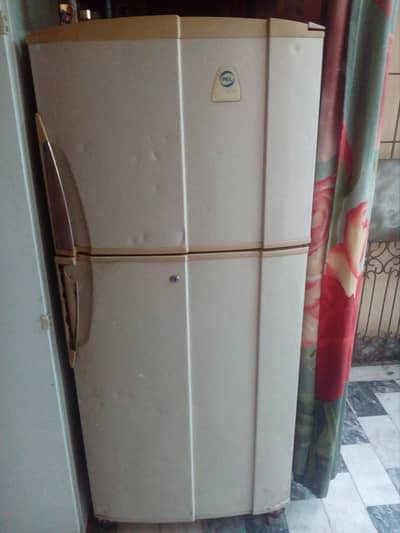PEL Crystal Refrigerator Classic