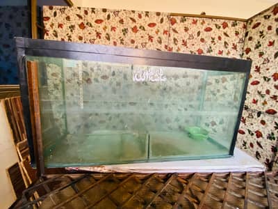 12 mm aquarium for sale
