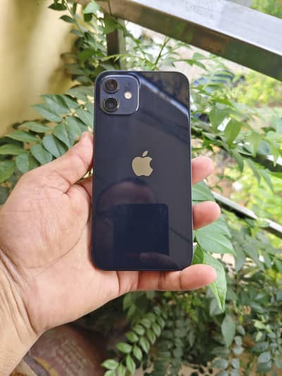 Apple iPhone 12 Pta aprroved