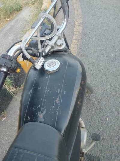 CD70 for sale