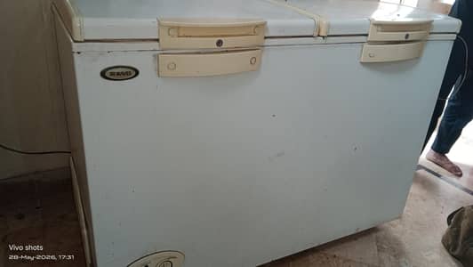 waves deep freezer