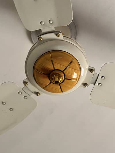Ceiling fan