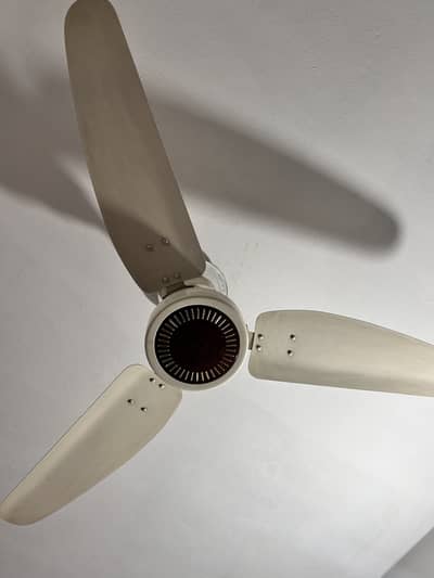 Ceiling fans
