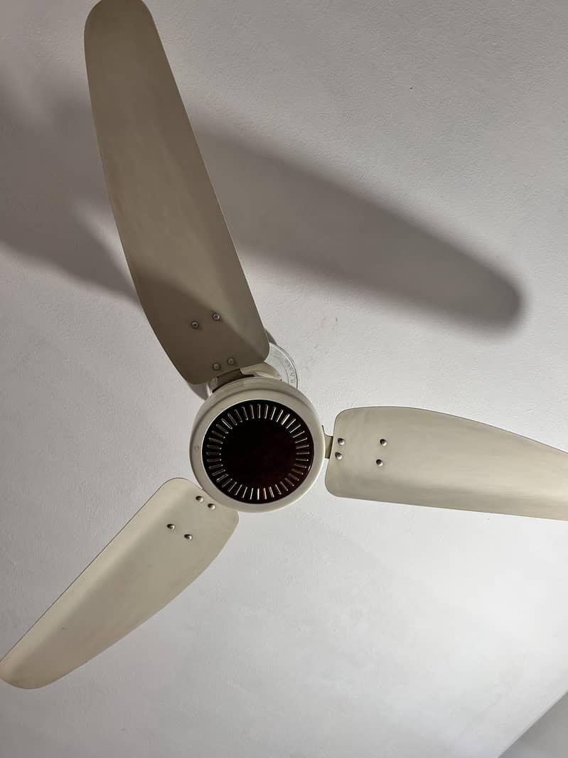 Ceiling fans 0