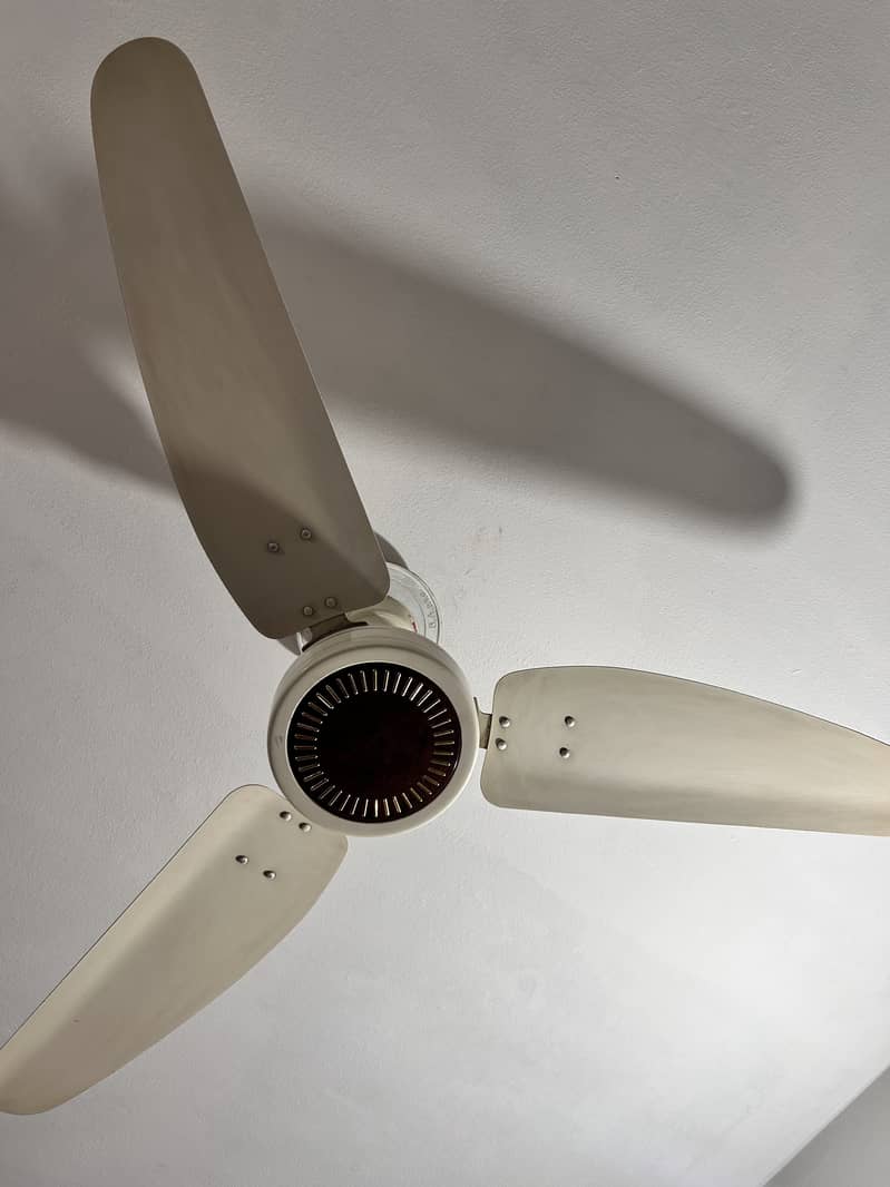 Ceiling fans 1