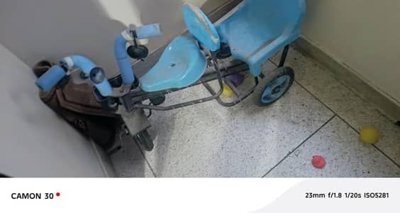 Kids Cycle 2 seater