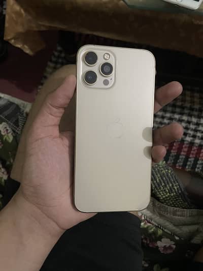 Apple iPhone 12 Pro Max