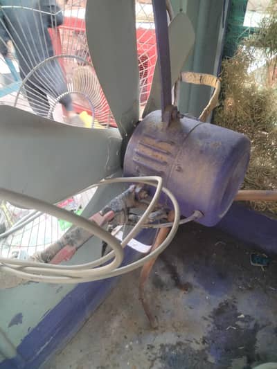 Air cooler