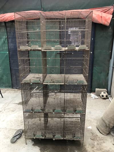 Cages & lovebirds