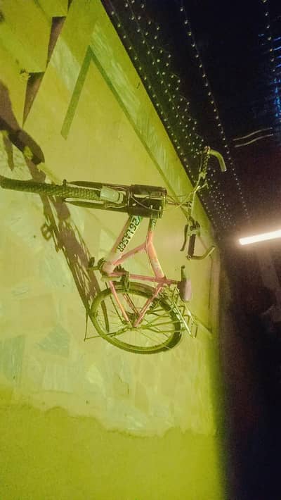 cycle