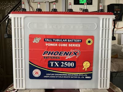 Phoenix tubular battery for solar