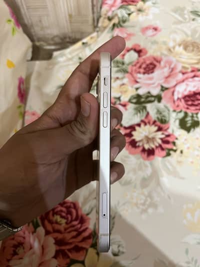 iphone 12 white colour
