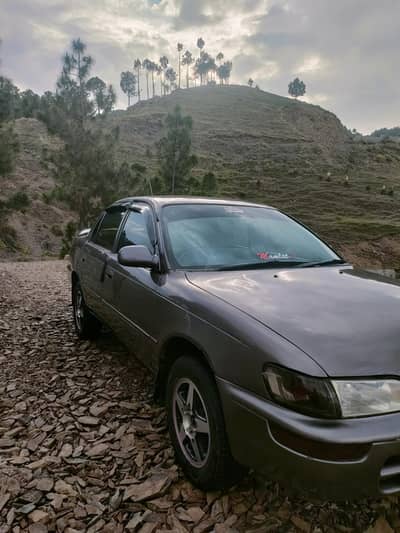 Xe 2001 urgent sell