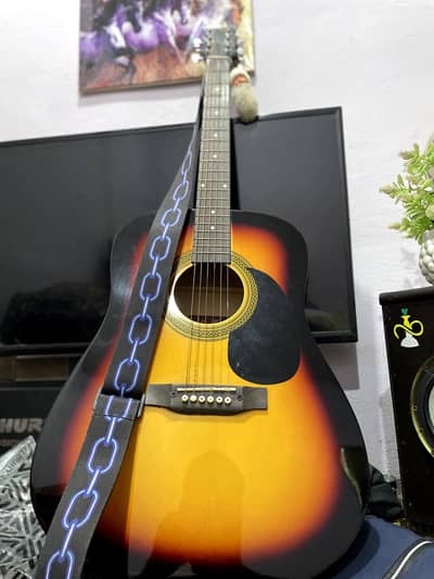 Dolphin Brand Guitar