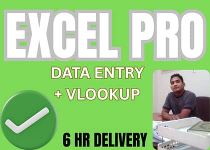 Sialkot Excel Data Entry Expert - PDF to Excel Service