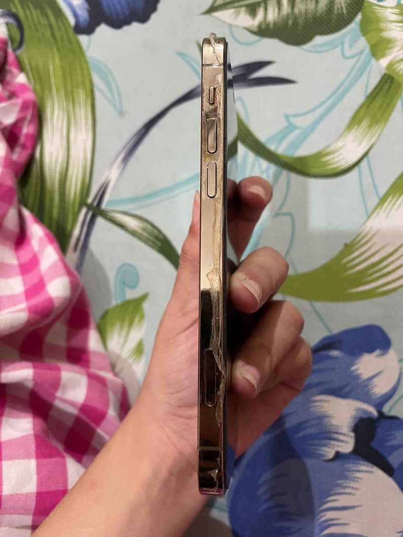 Iphone 12 pro 2
