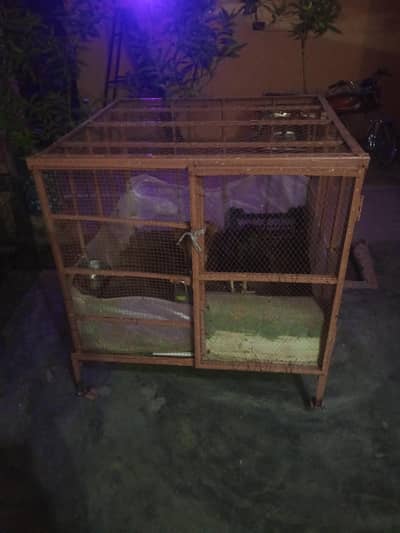 for sale