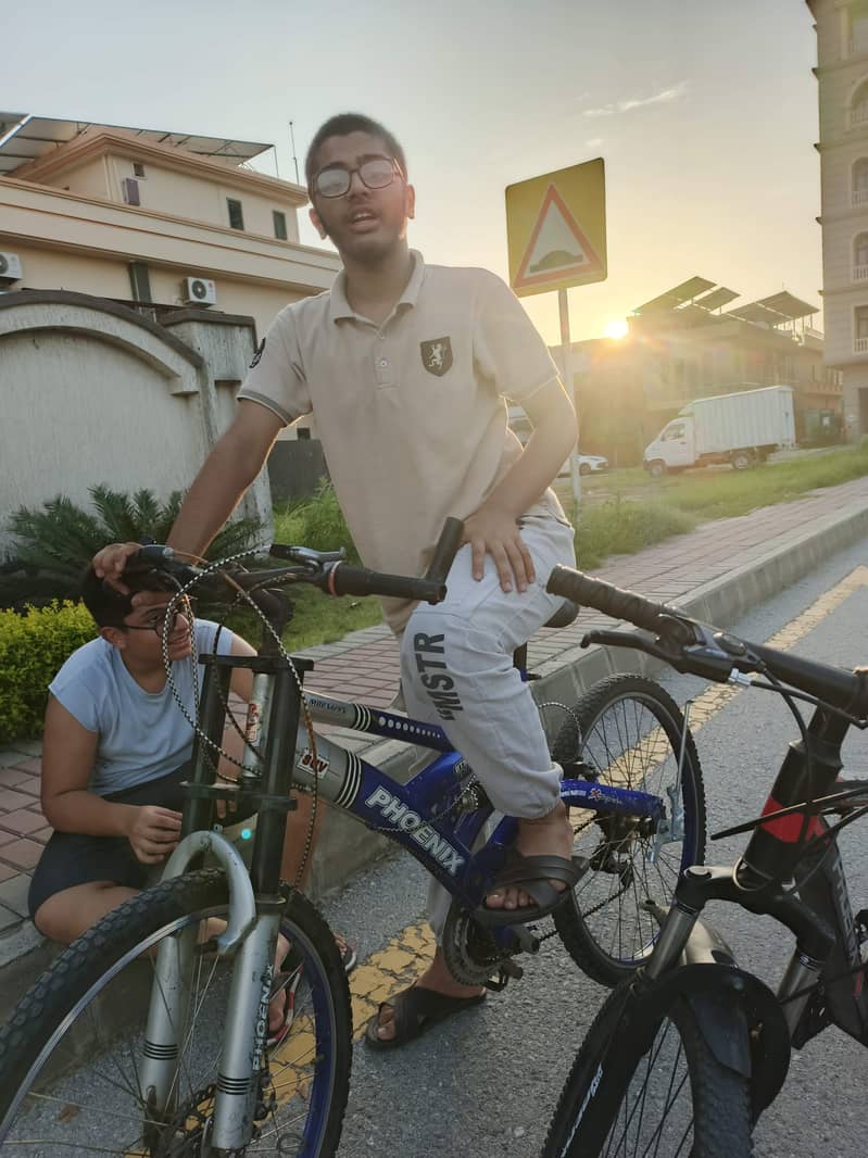 Imported Bicycle 3