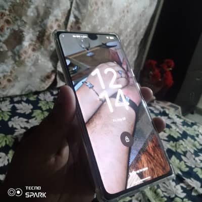 Google Pixel 6 Pro just panal men dot he