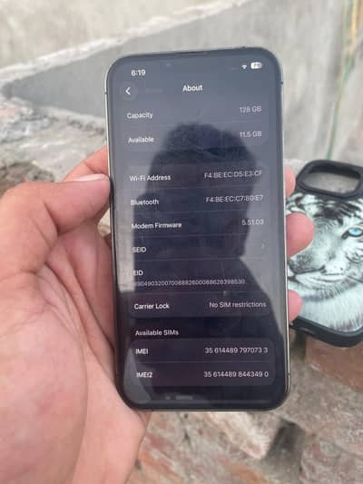 iphone 13pro