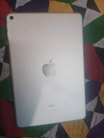 iPad mini 5
