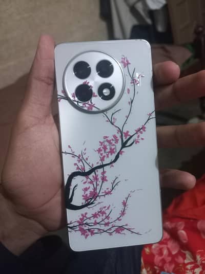 One Plus 13R