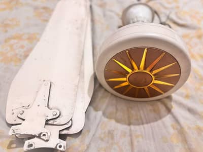 Ceiling Fan (Non-inverter)