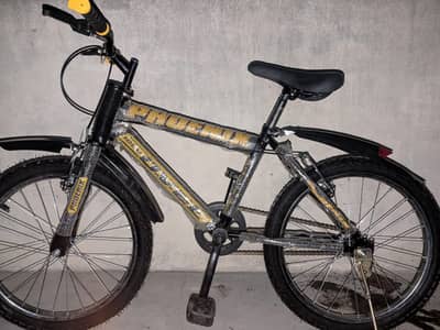 Phoenix 20” Brand New Cycle – Zero Use