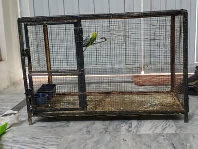iron cage